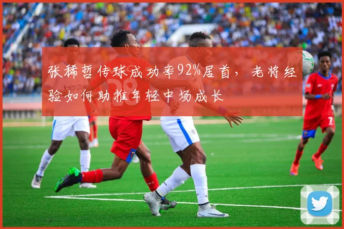 张稀哲传球成功率92%居首，老将经验如何助推年轻中场成长