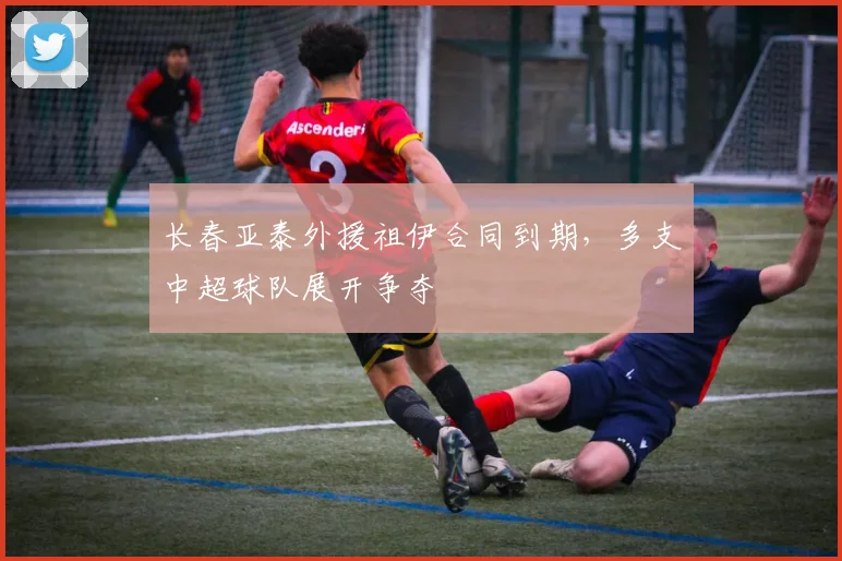 长春亚泰外援祖伊合同到期，多支中超球队展开争夺
